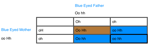 blue eyed parents 2